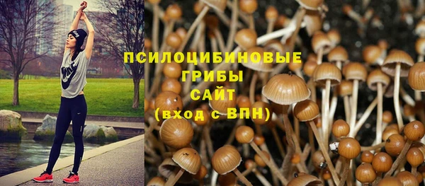 стаф Медвежьегорск