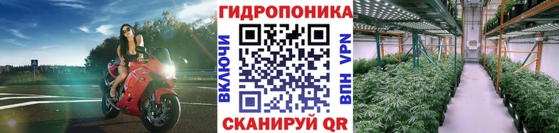 Каннабис AK-47  Купить  Электросталь 